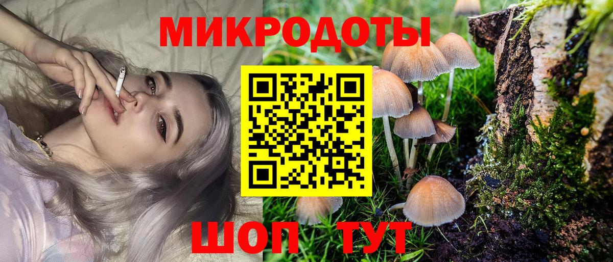 Галлюциногенные грибы мухоморы Саров
