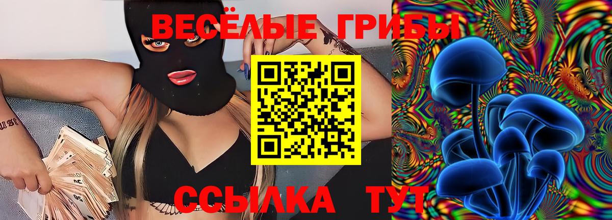 Псилоцибиновые грибы GOLDEN TEACHER  Вход с VPN  Саров 